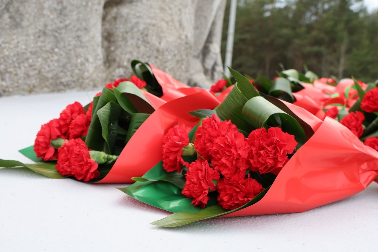 photo_2026-03-26_17-32-55 (2).jpg